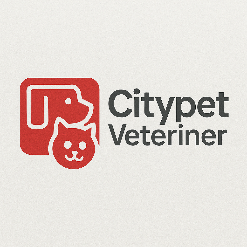 İstediğiniz sayfa bulunamadı!